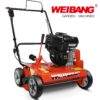 Wertykulator WEIBANG WB486CRB